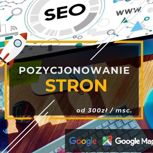 pozycjonowanie stron Gorzów Wielkopolski
